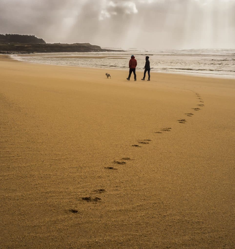 Strandspaziergang mit dem Hund