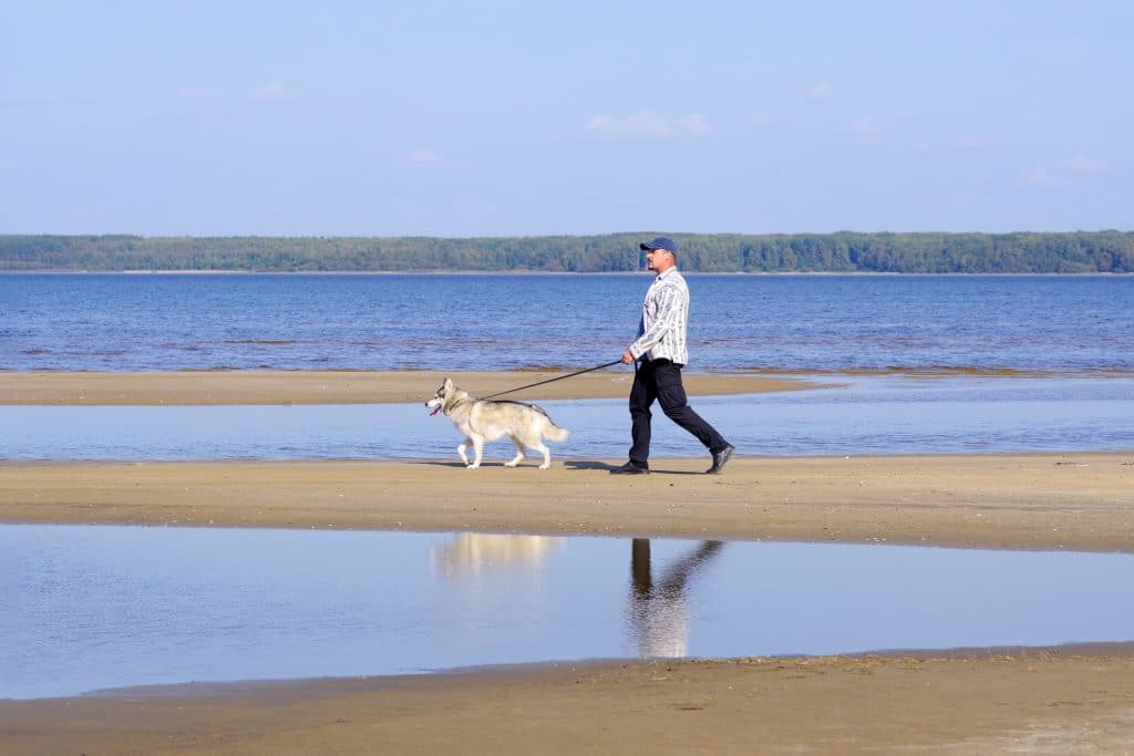 Mann mit Hund am Strand