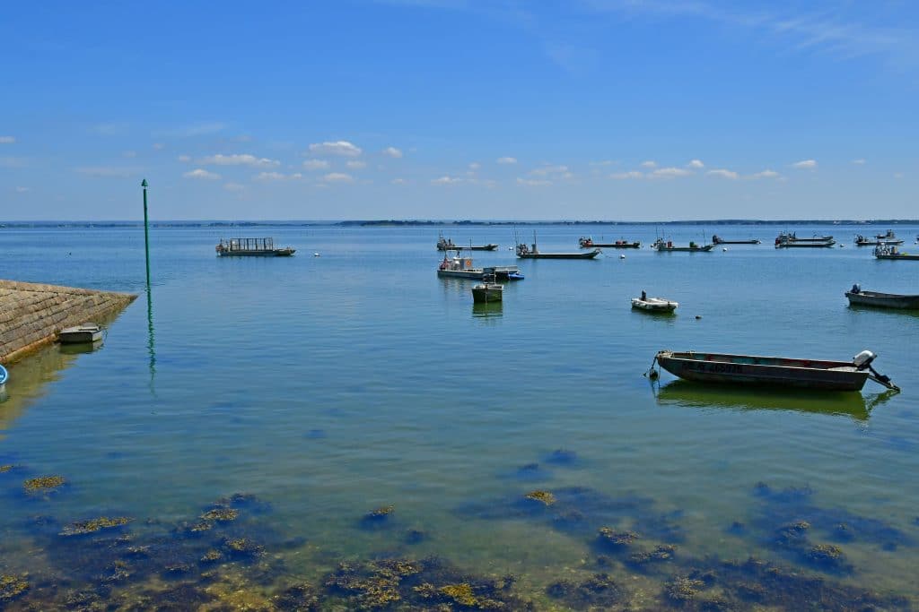 ADO-sarzeau-golfe-morbihan